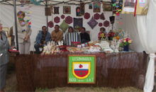 Obchody 600-lecia wsi Lesznowola