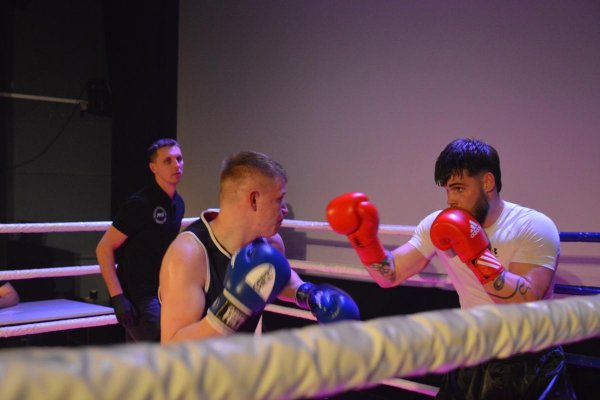 Gala sztuk walki Marceli Team Fight Night IX