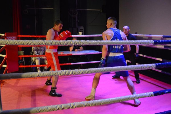 Gala sztuk walki Marceli Team Fight Night IX