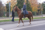 Uroczystość odsłonięcia tablicy Rondo Ryszarda Pietrasa
