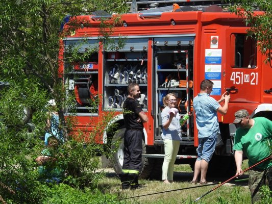 Piknik rodzinny z okazji Dnia Dziecka nad zalewem w Głuchowie