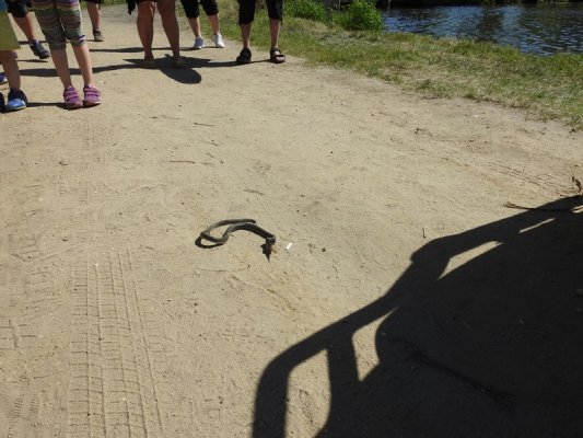 Piknik rodzinny z okazji Dnia Dziecka nad zalewem w Głuchowie