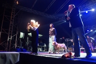 Święto Kwitnących Jabłoni 2015: sobota
