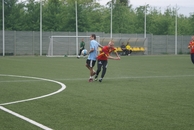 Święto Kwitnących Jabłoni 2015: zawody sportowe