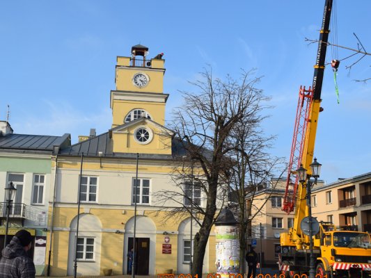 Sygnaturka wróciła na swoje miejsce
