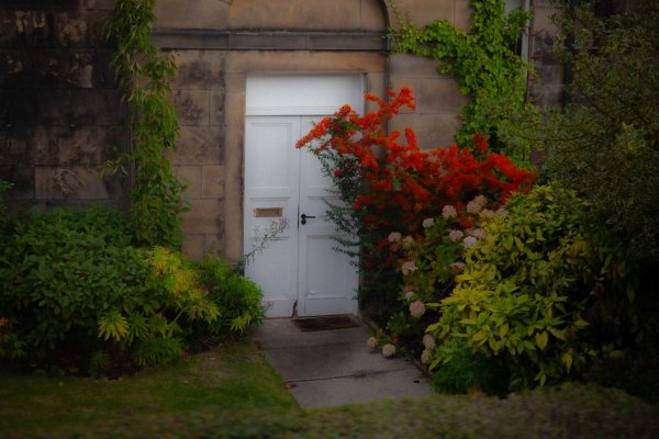 Funkcjonalny dom i ogród - inspiracje dla osób, które lubią praktyczne rozwiązania