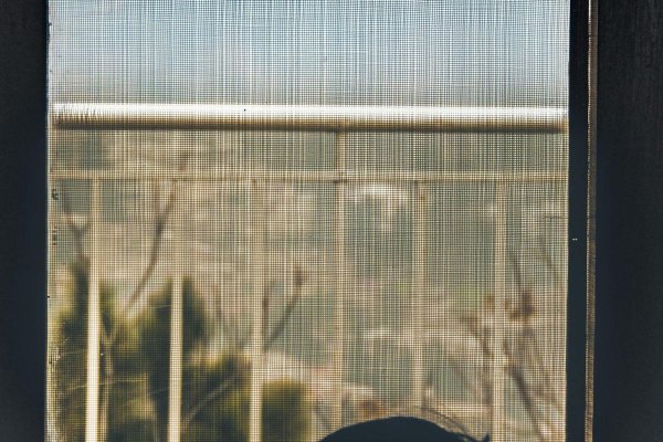 Poradnik: moskitiera – rodzaje, montaż i profesjonalne wsparcie