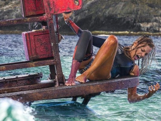 W kinie GOK: Gdzie jest Dory, 183 metry strachu, Iluzja 2