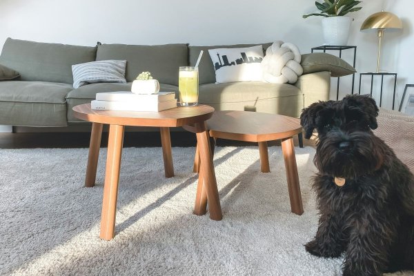 Poradnik prania dywanów w Grójcu — metody i przygotowanie  