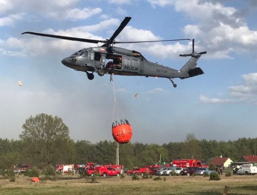 Olbrzymia akcja strażaków! W powiecie grójeckim płonie 100 hektarów lasu!