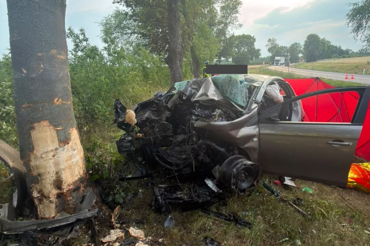 Fot. Komenda Powiatowa Państwowej Straży Pożarnej w Grójcu